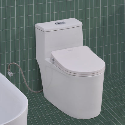 Toilet with Right Water Inlet