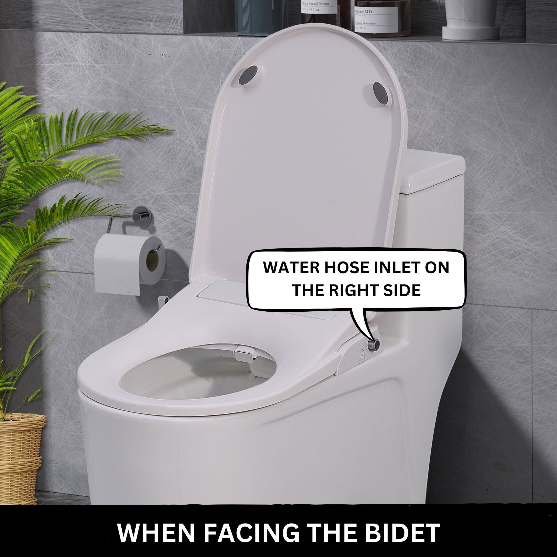 Toilet with Right Water Inlet