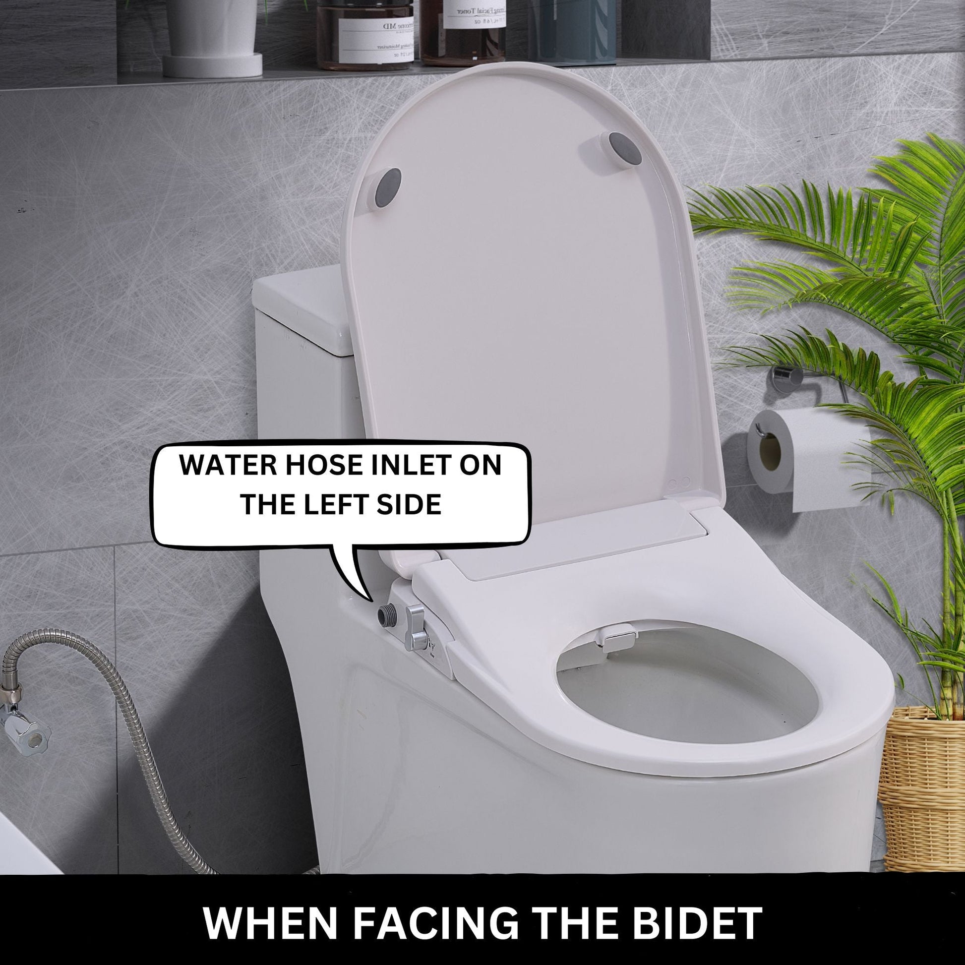 Toilet with Left Water Inlet