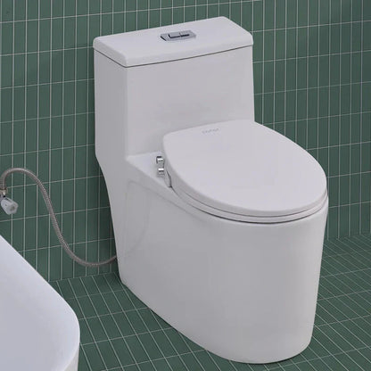 Toilet with Left Water Inlet