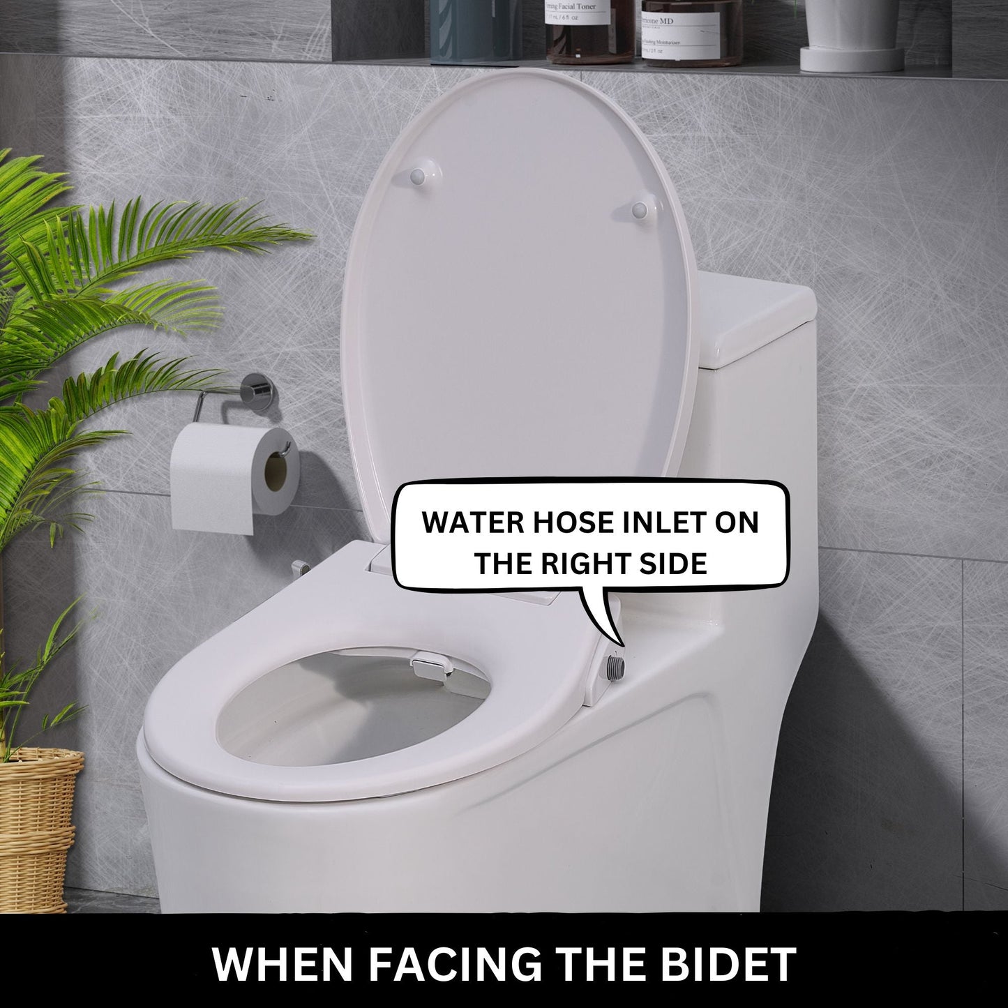 Toilet with Right Water Inlet