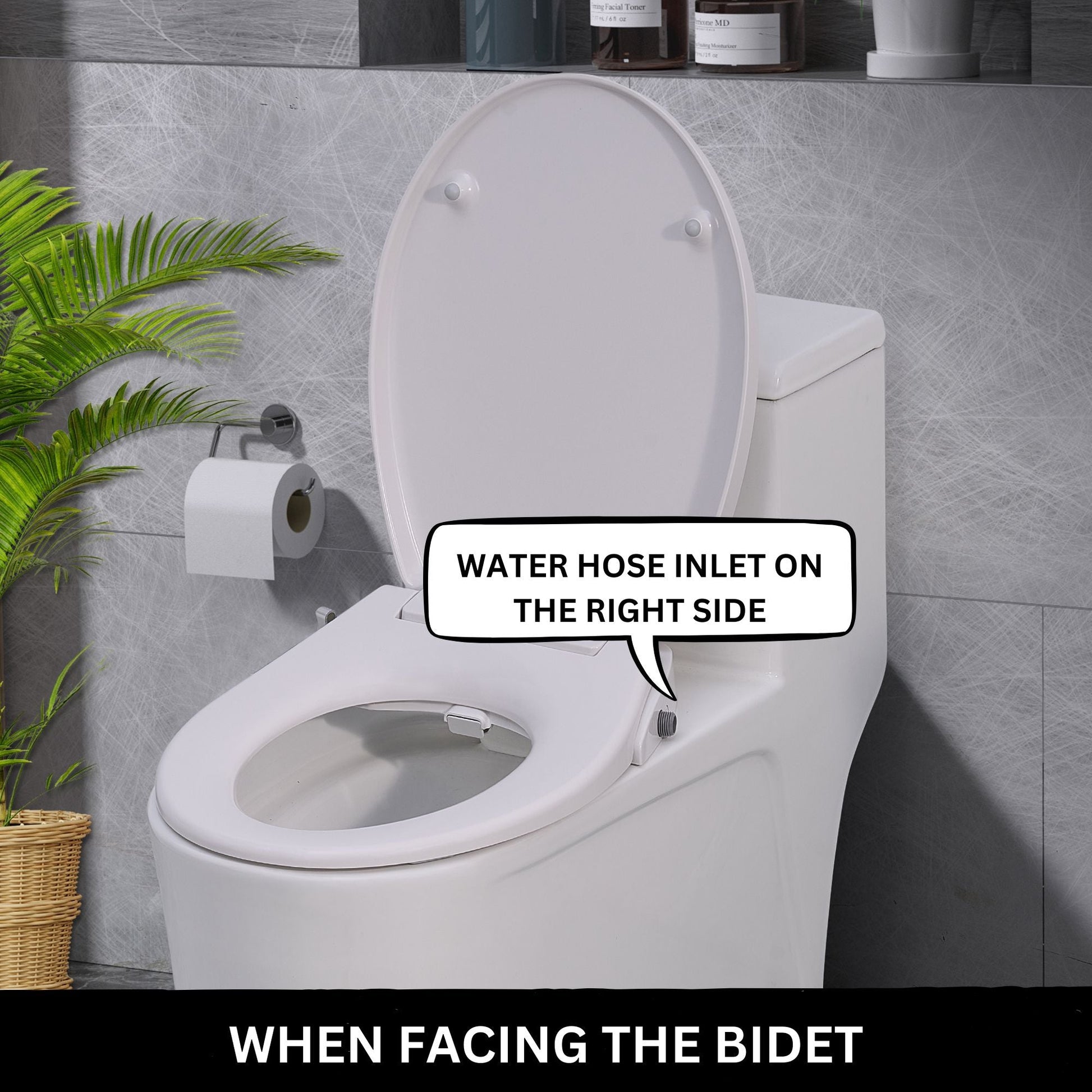 Toilet with Right Water Inlet