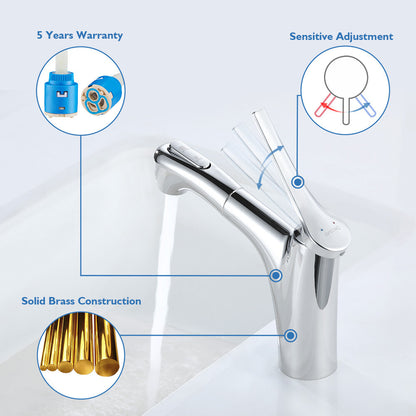 Decaura Bathroom Basin Mixer Tap Vanity Sink Taps Chrome pull out 2-Mode Sprayer