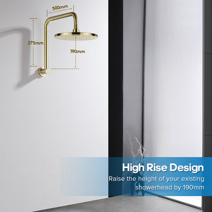 Decaura Rain Shower Head Set Gooseneck Shower Arm Brushed Gold Shower Taps