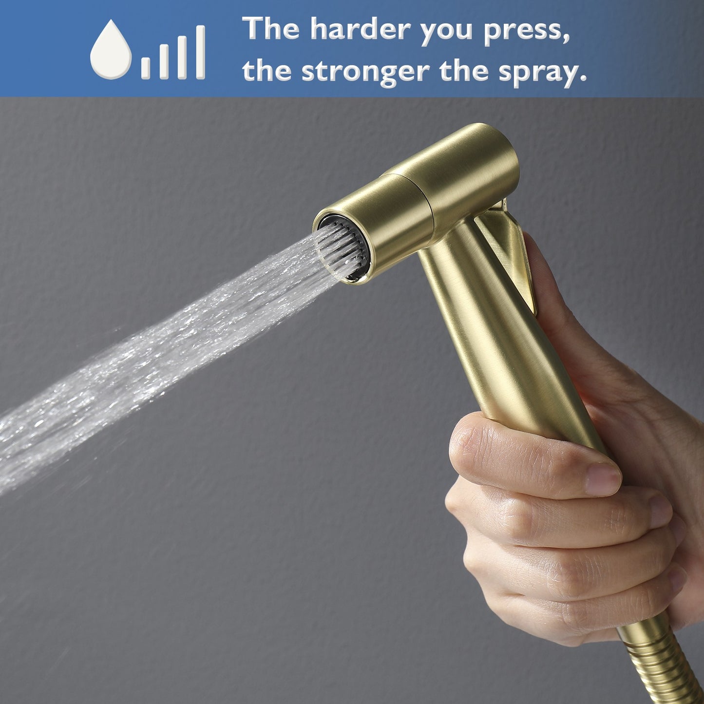 Decaura Handheld Douche Bidet Spray Kit Chrome/Brushed Gold/Brushed Nickel