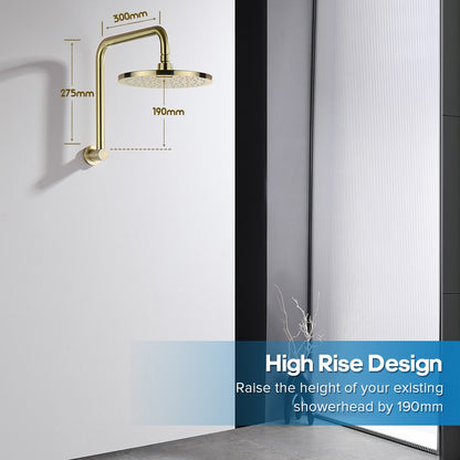 WELS 9" Rain Shower Head with Gooseneck Shower Arm Brushed Gold Overhead