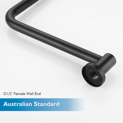 Decaura 10" Rain Shower Head Set Black Round Gooseneck Shower Arm Wall Tapware