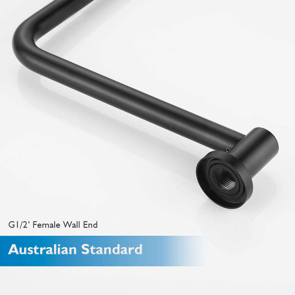 Decaura 10" Rain Shower Head and Brass Gooseneck Shower Arm Set Round Black