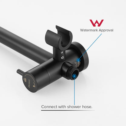 WELS 10 Inch Rain Shower Head Set Gooseneck Round Shower Mixer Tap Cross Handle