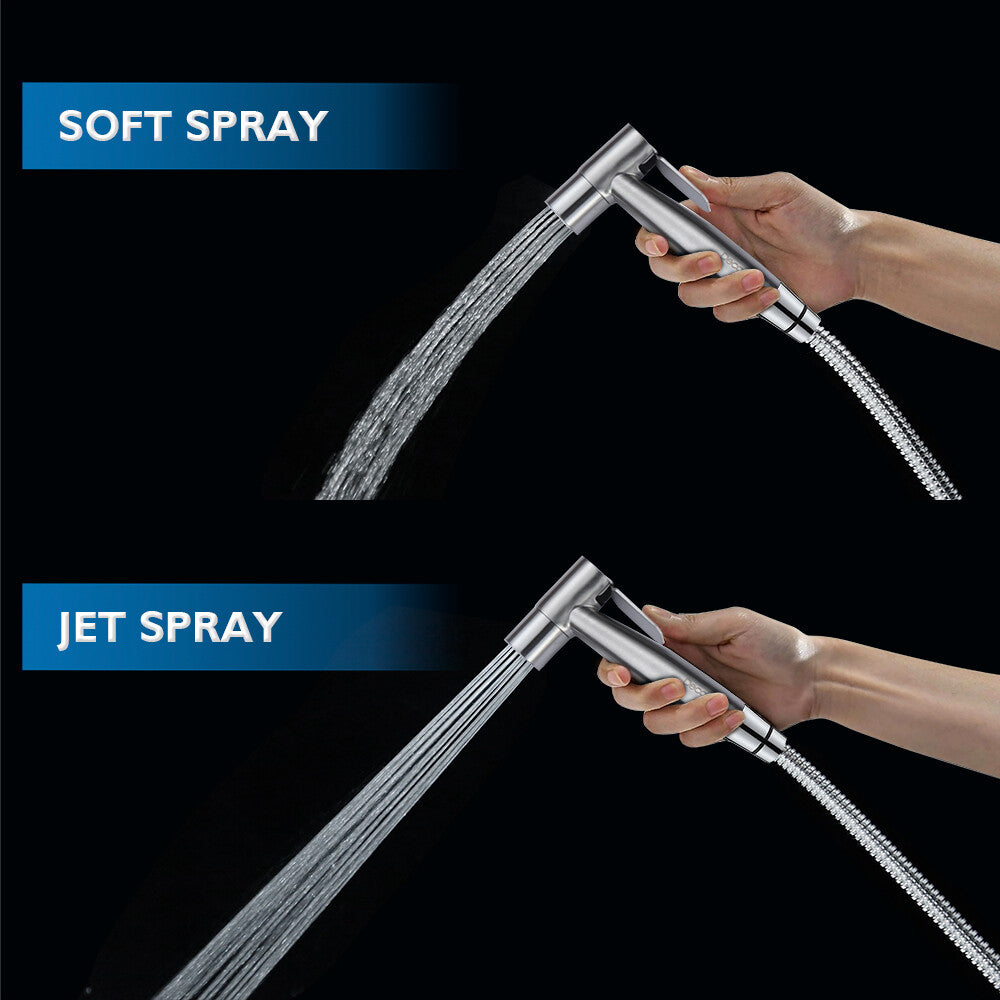 Decaura Handheld Douche Bidet Spray Kit Chrome/Brushed Gold/Brushed Nickel