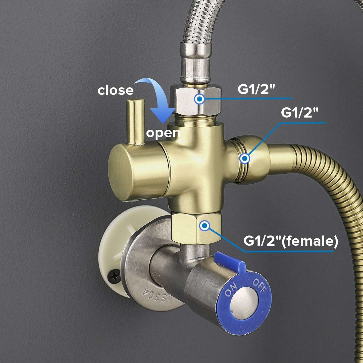 Decaura Handheld Douche Bidet Spray Kit Chrome/Brushed Gold/Brushed Nickel