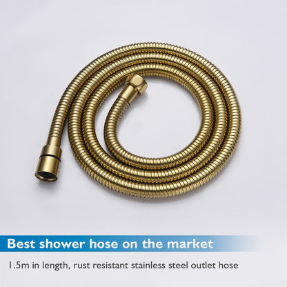 Decaura 9" 2 in 1 Shower Head Set Brushed Gold Gooseneck Arm Wall Tapware Mixer