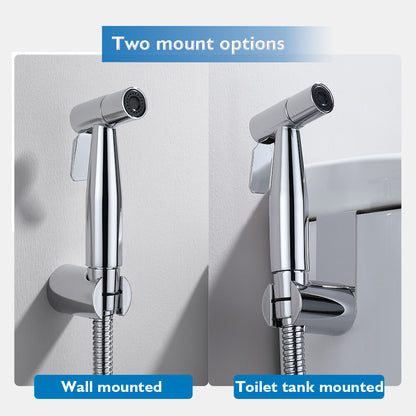 Decaura Handheld Douche Bidet Spray Kit Chrome/Brushed Gold/Brushed Nickel